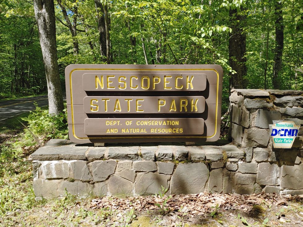 Pennsylvania's Ancient/Old Growth ForestsWhere They Are and Why They Are Important